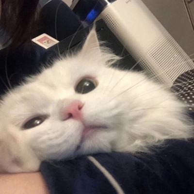 国家再次“点名”胖东来，释放3个强烈信号