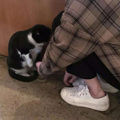 国家再次“点名”胖东来，释放3个强烈信号